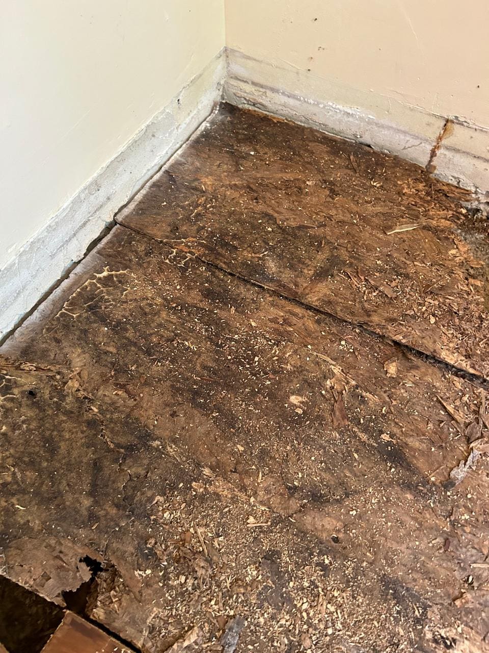 Water Damage Repair & Sealing - Gallery image 2